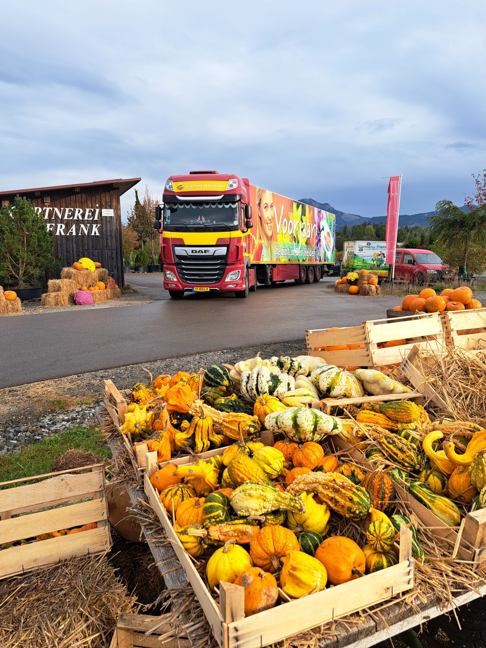 Rietvink-transport-julianadorp-bloembollentransport (3)