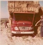 Rietvink historie stroo