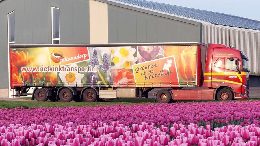transport-bloemen-planten-julianadorp Rietvink transport bloemen & planten transport julianadorp